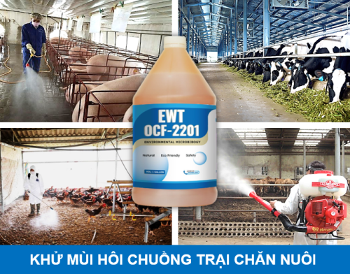 Vi sinh khử mùi EWT OCF-2201 - Công Ty TNHH VLT